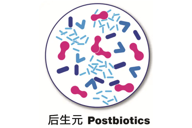 张志杰教授讲的后生元是怎么产生的