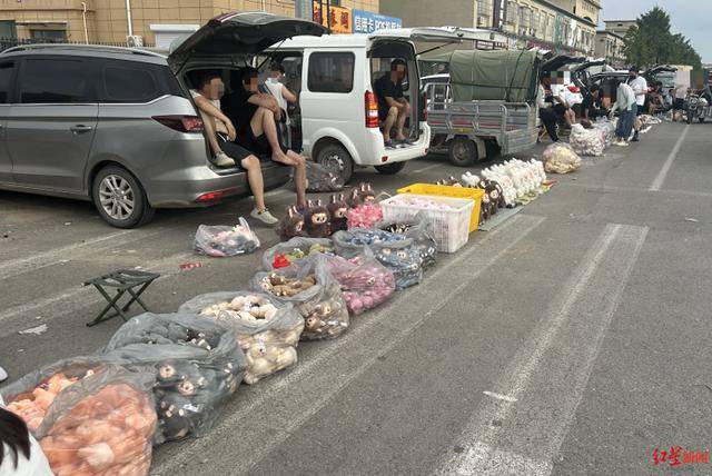 实探衡水盗版LABUBU大集：像卖菜一样摆摊卖，商家称如今订单变少生意难做