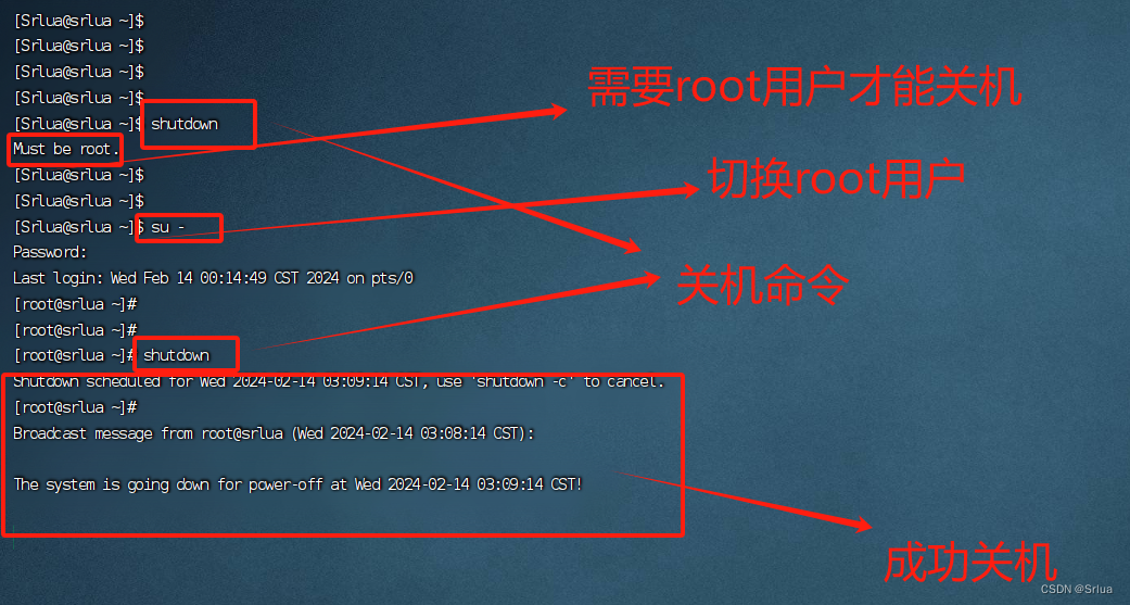 eth2浏览器(eth2 launch pad)